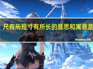 尺有所短寸有所长的意思和寓意是什么