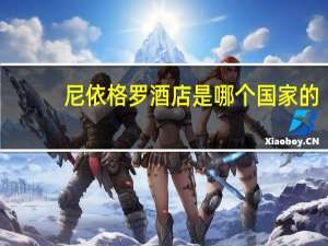 尼依格罗酒店是哪个国家的