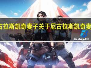 尼古拉斯凯奇妻子 关于尼古拉斯凯奇妻子的介绍