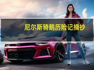 尼尔斯骑鹅历险记摘抄（尼尔斯骑鹅历险记简介）