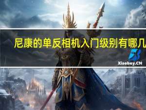 尼康的单反相机入门级别有哪几款,哪款性价比高 尼康数码相机哪款好