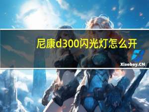 尼康d300闪光灯怎么开