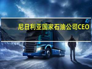 尼日利亚国家石油公司CEO：在未来三到四年内尼日利亚将成为西非的天然气中心