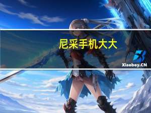 尼采手机大大（尼采手机怎么样）