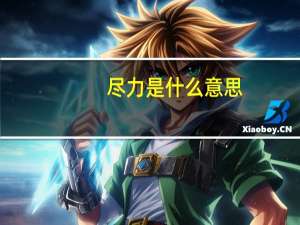 尽力是什么意思