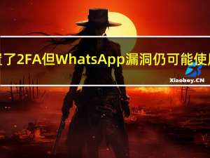 尽管设置了2FA但WhatsApp漏洞仍可能使用户受阻