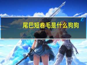 尾巴短卷毛是什么狗狗