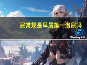 尿常规是早晨第一泡尿吗（晨尿指的是早上第一泡尿吗）