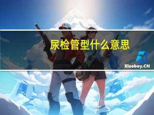 尿检管型什么意思
