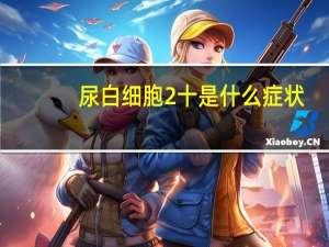 尿白细胞2十是什么症状（尿白细胞2十是什么意思）
