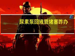 尿素泵回液管堵塞咋办