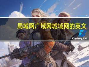 局域网广域网城域网的英文（局域网广域网）