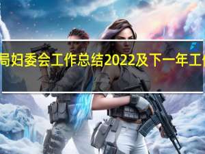 局妇委会工作总结2022及下一年工作安排（局妇委会工作总结）