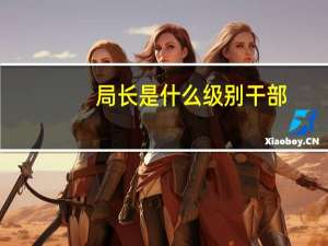 局长是什么级别干部