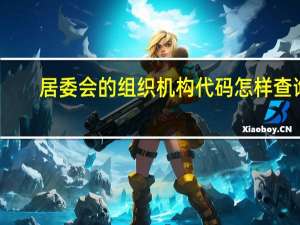 居委会的组织机构代码怎样查询