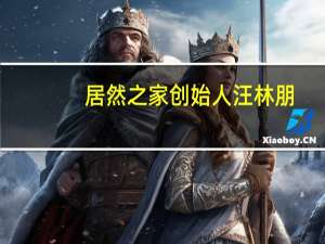 居然之家创始人汪林朋：我把包括CTO在内的IT部门全裁了