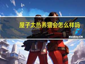 屋子太热养猫会怎么样吗