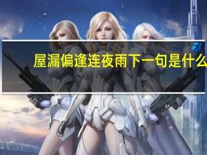 屋漏偏逢连夜雨下一句是什么