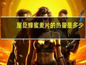 屋臣 蜂蜜麦片的热量是多少
