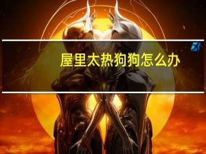 屋里太热狗狗怎么办