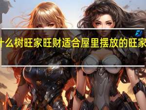 屋里放什么树旺家旺财 适合屋里摆放的旺家旺财树有哪些