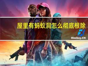 屋里有蚂蚁洞怎么彻底根除