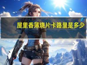 屋里香薄烧片卡路里是多少