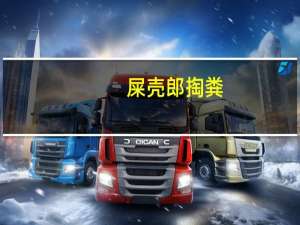 屎壳郎掏粪（屎壳郎偷粪）