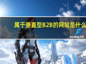 属于垂直型B2B的网站是什么