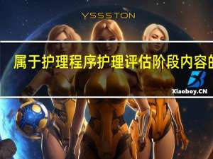属于护理程序护理评估阶段内容的是