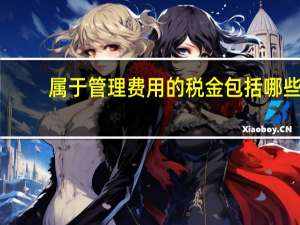 属于管理费用的税金包括哪些