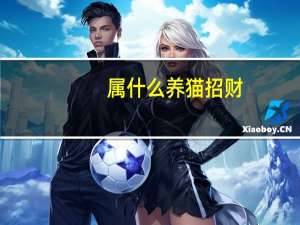 属什么养猫招财
