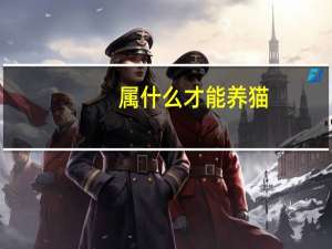 属什么才能养猫