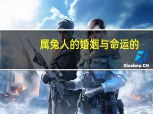 属兔人的婚姻与命运的