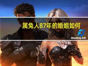 属兔人87年的婚姻如何
