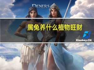 属兔养什么植物旺财