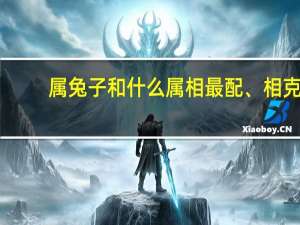属兔子和什么属相最配、相克（属兔的和什么属相最配 相克）