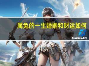 属兔的一生婚姻和财运如何