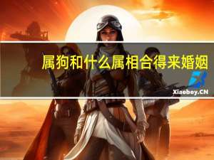 属狗和什么属相合得来婚姻