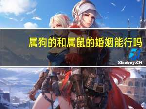 属狗的和属鼠的婚姻能行吗