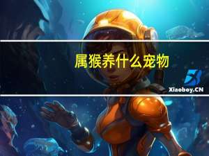 属猴养什么宠物