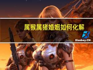 属猴属猪婚姻如何化解