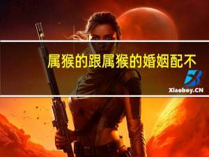 属猴的跟属猴的婚姻配不
