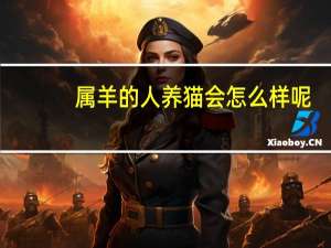 属羊的人养猫会怎么样呢
