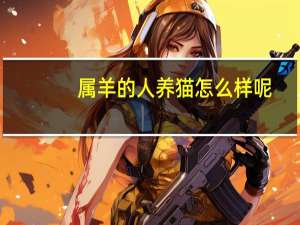 属羊的人养猫怎么样呢