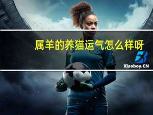属羊的养猫运气怎么样呀