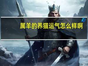 属羊的养猫运气怎么样啊