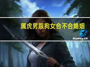 属虎男跟狗女合不合婚姻