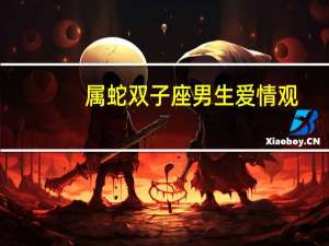 属蛇双子座男生爱情观