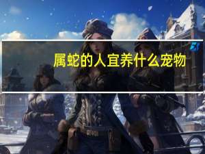 属蛇的人宜养什么宠物